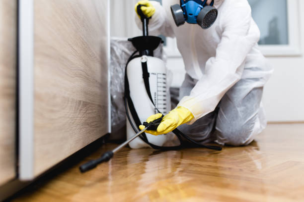 Best Wasp Removal Services  in Leesville, LA