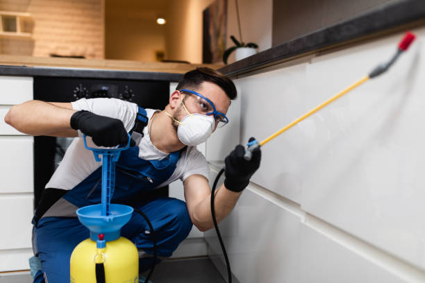 Professional Pest Control in Leesville, LA