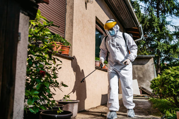 Best Termite Control Services  in Leesville, LA