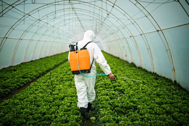 Best Residential Pest Control  in Leesville, LA