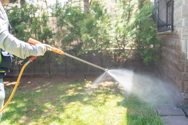Best Best Pest Control Companies  in Leesville, LA
