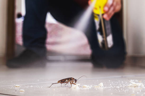 Best Commercial Pest Control Services  in Leesville, LA