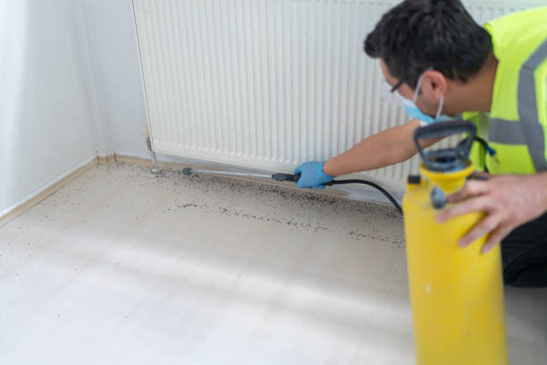 Best Commercial Pest Control Services  in Leesville, LA