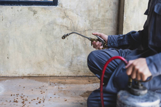Pest Control Cost in Leesville, LA